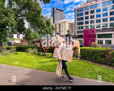 Melbourne, Victoria Australia - Novembre 20 2021: Flagstaff Gardens Park Una donna in un cappello nero porta il suo segno di protesta pacifica per la libertà dicendo, Foto Stock