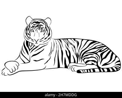 Contorno della tigre giacente in posa aggraziata, isolato vettore nero su sfondo bianco come un tatuaggio Illustrazione Vettoriale