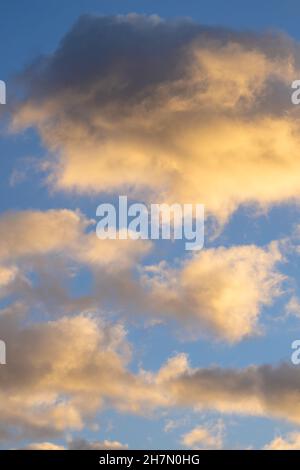 Nuvole calde della sera e cielo blu, scatto verticale Foto Stock