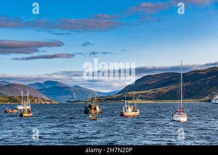 Barche da pesca, Bay of Ullapool, Scozia, Regno Unito Foto Stock