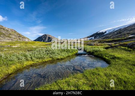 Altopiano con laghetti e paludi, valle glaciale, Geirangerfjord, Geiranger, more og Romsdal, Vestland, Norvegia Foto Stock