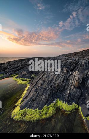 Costa rocciosa lungo la strada atlantica, atmosfera serale, Atlanterhavsveien, more og Romsdal, Norvegia Foto Stock