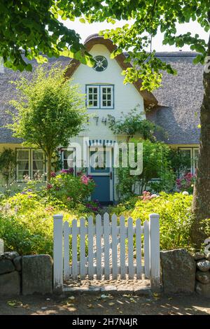 Casa Frisone con tetto in paglia, Nieblum, Foehr, Germania Foto Stock