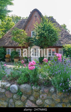 Casa Frisone con tetto in paglia, Nieblum, Foehr, Germania Foto Stock