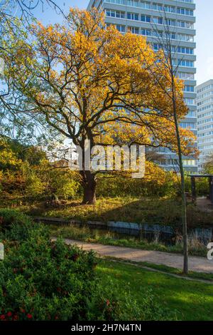 Woodberry Wetlands, Hackney, Londra N4 Foto Stock