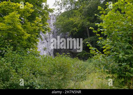 Hohle Fels, geotopo delle grotte nell'Albo Svevo Geopark mondiale dell'UNESCO, Schelklingen, Baden-Wuerttemberg, Germania Foto Stock