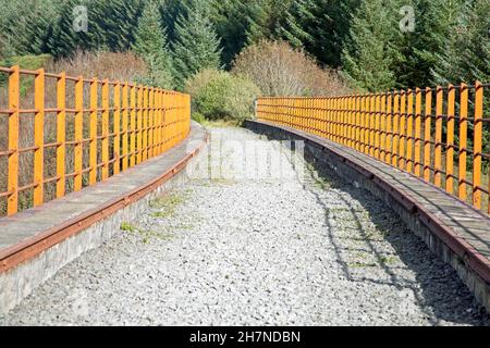 Il viadotto Big Water of Fleet attraversa la Big Water of Fleet a Dromore, vicino al Gatehouse of Fleet Dumfries e Galloway Scozia Foto Stock