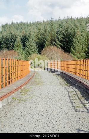 Il viadotto Big Water of Fleet attraversa la Big Water of Fleet a Dromore, vicino al Gatehouse of Fleet Dumfries e Galloway Scozia Foto Stock