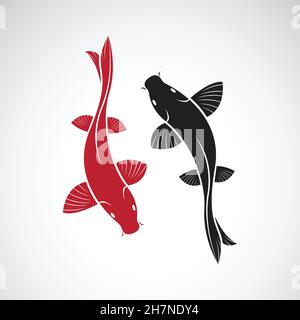 Vettore di pesce koi carpa isolato su sfondo bianco. Animale domestico. Illustrazione vettoriale a livelli facilmente modificabile. Illustrazione Vettoriale