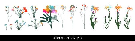 Un insieme di fiori diversi. Illustrazione vettoriale Illustrazione Vettoriale