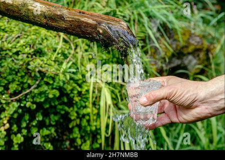 Un uomo tiene un bicchiere sotto una fontana, dalla quale scorre ancora acqua potabile pulita. Foto Stock