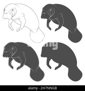 Set di illustrazioni in bianco e nero con manatee, una mucca di mare. Oggetti vettoriali isolati su sfondo bianco. Illustrazione Vettoriale