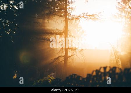 Un tramonto mozzafiato sulla strada di un villaggio suburbano in una foresta con raggi della luce del sole serale che passa attraverso i rami di alberi illuminanti Foto Stock