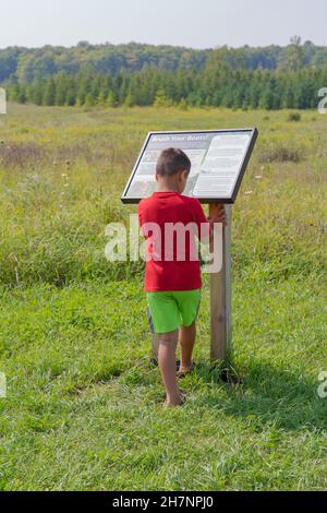 I bambini si divertiranno un'estate dopo mezzogiorno presso la riserva naturale Door County Land Trust, vicino a casa mia, a Door County Wisconsin. Foto Stock