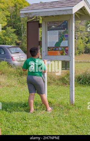 I bambini si divertiranno un'estate dopo mezzogiorno presso la riserva naturale Door County Land Trust, vicino a casa mia, a Door County Wisconsin. Foto Stock