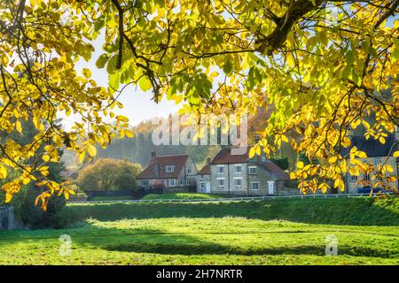 L'autunno lascia sul verde del villaggio e tutto intorno ai cottage di pietra al villaggio di Moorland Hutton le Hole, il North Yorkshire Moors, Inghilterra. Foto Stock