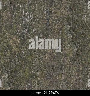 Bump e spostamento della texture, alta qualità Foto Stock