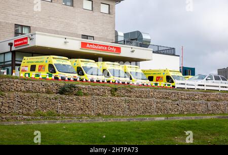 Truro, UK, 24 novembre 2021, le ambulanze aspettano fuori A & e al Royal Cornwall Hospital di Treliske, Truro. I pazienti devono attendere il loro turno, che può essere molte ore per essere preso in A&e per essere visto. Ciò è causato da un backlog di pazienti in ospedale che non possono essere dimessi di nuovo nella comunità quando sono pronti per essere dimessi insieme con sforzo extra sui letti a causa di Covid-19.Credit: Keith Larby/Alamy Live News Foto Stock