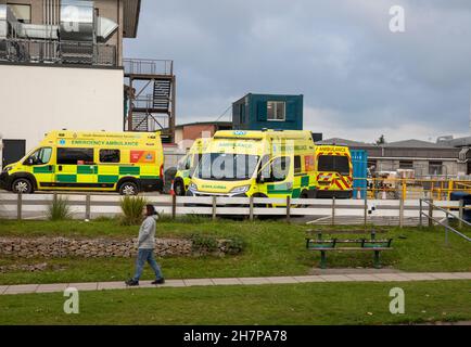 Truro, UK, 24 novembre 2021, le ambulanze aspettano fuori A & e al Royal Cornwall Hospital di Treliske, Truro. I pazienti devono attendere il loro turno, che può essere molte ore per essere preso in A&e per essere visto. Ciò è causato da un backlog di pazienti in ospedale che non possono essere dimessi di nuovo nella comunità quando sono pronti per essere dimessi insieme con sforzo extra sui letti a causa di Covid-19.Credit: Keith Larby/Alamy Live News Foto Stock