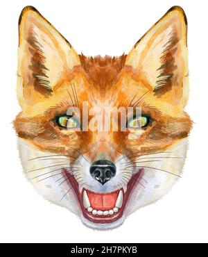 Testa di volpe. Illustrazione di pittura di volpe dell'acquerello isolata su sfondo bianco Foto Stock