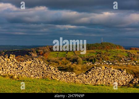 Muro di arenaria e alberi a Middleton Moor vicino Middleton by Wirksworth vicino all'High Peak Trail nel Derbyshire Dales Peak District Inghilterra Regno Unito Foto Stock