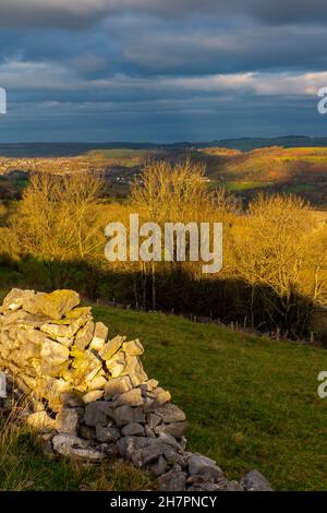 Muro di arenaria e alberi a Middleton Moor vicino Middleton by Wirksworth vicino all'High Peak Trail nel Derbyshire Dales Peak District Inghilterra Regno Unito Foto Stock