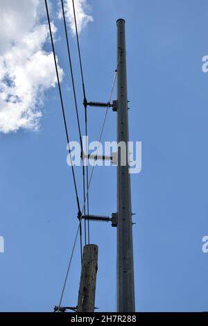 Gli isolatori a primo piano fissano le linee elettriche a un polo di servizio. Foto Stock