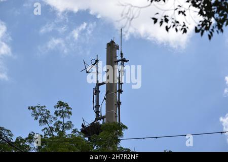 Un uccello si erge su un nido costruito in parte verso l'alto una torre cellulare. Foto Stock