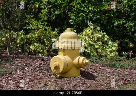 Primo piano vecchio idrante giallo fuoco. Foto Stock