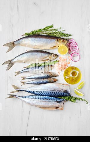 Concetto di giornata mondiale del cibo. Giornata di pesce. Composizione con aringa fresca, odore e sgombro. Foto Stock