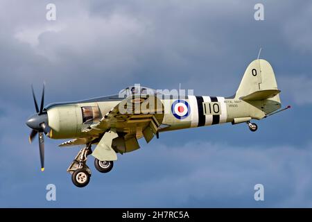 Yeovilton, Somerset, UK -Settembre 17 2005:Royal Navy Historic Flight Hawker Sea Fury FB.11 - VR930 entra a terra al RNAS Yeovilton Air Day 2005 Foto Stock