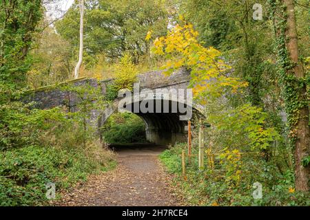 The Great Hay Incline (Hay Hanged Plane) a Coalport, Ironbridge Gorge, Shropshire, Regno Unito. Ha sollevato barche tra i canali usando il vapore e la gravità. Foto Stock