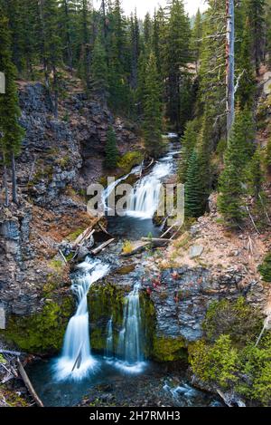 Lunga esposizione del doppio ruscello lungo il ruscello di Tumalo Foto Stock