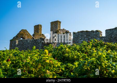 Castello di Dunnottar attraverso Old Hall baia vicino a Stonehaven, Aberdeenshire, Scotland, Regno Unito, Europa Foto Stock