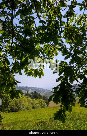 Una vista verso il villaggio di pescatori di Mevagissey, dai Lost Gardens di Heligan in Cornovaglia, Regno Unito. Foto Stock