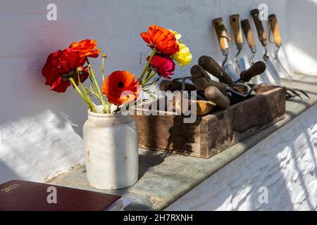Primo piano di fiori e attrezzi di giardinaggio. Foto Stock