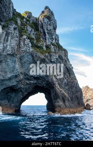 The Hole in the Rock a Piercy Island, Cape Brett, Bay of Islands Foto Stock