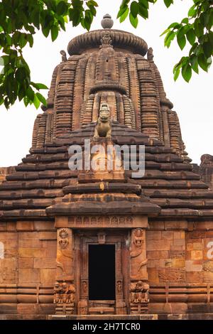 Jagamohana o porta del santuario con nagas che regge le ghirlande e sotto i leoni sugli elefanti. Tempio Rajarani. Bhubaneshwar, Odisha, India Foto Stock
