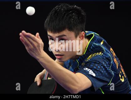 Houston. 24 novembre 2021. Zhou Qihao della Cina serve durante il singolo maschile round di 64 partita tra Timo Boll della Germania e Zhou Qihao della Cina alle finali dei Campionati mondiali di tennis da tavolo 2021 a Houston, gli Stati Uniti il 24 novembre 2021. Credit: WU Xiaoling/Xinhua/Alamy Live News Foto Stock