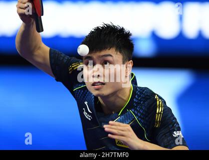 Houston. 24 novembre 2021. Zhou Qihao della Cina serve durante il singolo maschile round di 64 partita tra Timo Boll della Germania e Zhou Qihao della Cina alle finali dei Campionati mondiali di tennis da tavolo 2021 a Houston, gli Stati Uniti il 24 novembre 2021. Credit: WU Xiaoling/Xinhua/Alamy Live News Foto Stock