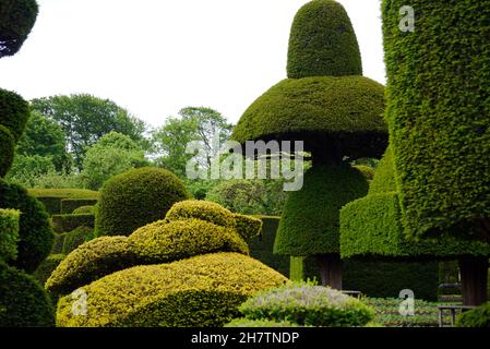 Topiary a Levens Hall & Gardens, Kendal, Lake District National Park, Cumbria, Inghilterra, Regno Unito Foto Stock