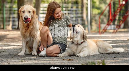 Ragazza con due cani Golden Retriever Foto Stock
