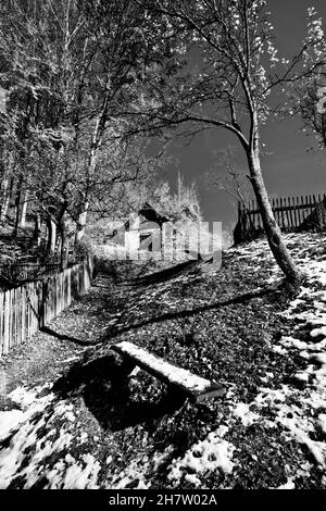 luogo romantico nel cortile con vista sulla vecchia cantina e alberi da frutta, percorso coperto di foglie, foto in bianco e nero editing Foto Stock