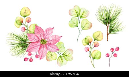 Acquerello set di Natale di elementi. Fiori rosa poinsettia trasparente, bacche di agrifoglio, set di rami di pino. Composizione astratta per l'inverno Foto Stock