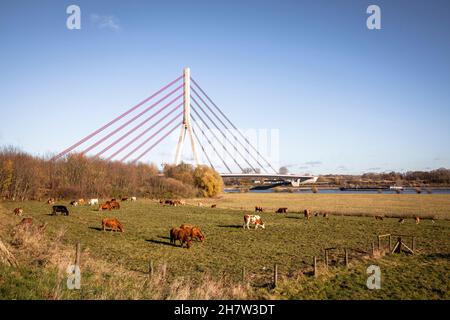 Il ponte Niederrhein sul fiume Reno, Wesel, Nord Reno-Westfalia, Germania. Die Niederrheinbruecke ueber den Rhein, Wesel, Nordrhein-Westfal Foto Stock