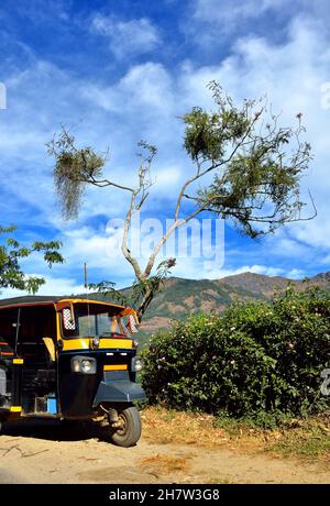 Risciò auto in piedi sulla strada viillage in bellissimo paesaggio in India, Munar Foto Stock