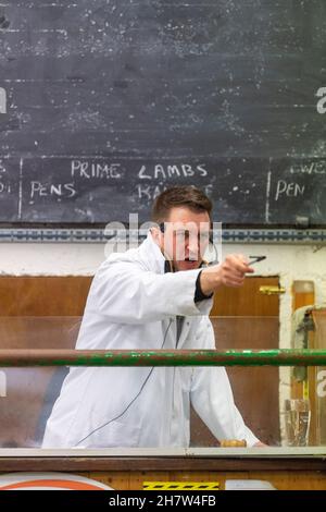 Auctioneer che prende le offerte ad una vendita di bestiame in Cumbria, Regno Unito. Foto Stock