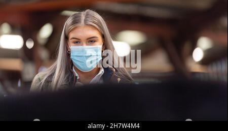 Mostrando bestiame ad una vendita di vitello di manzo, Kirkby Stephen, Cumbria, durante la pandemia di Covid-19. REGNO UNITO Foto Stock