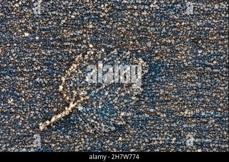 Foglia congelata su una superficie di legno, sfondo invernale, sfondo gelido Foto Stock