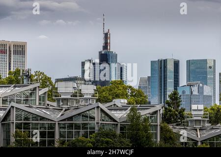 Francoforte - meno, Germania - 13 settembre 2021: Fotografo tedesco che visita il cosiddetto Palmengarten, un giardino botanico, in una giornata di sole. Foto Stock